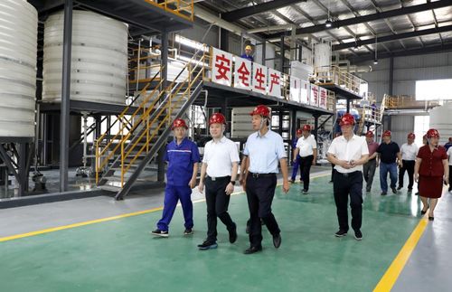 湖南永澤冶金與永晟?？萍夹聫S竣工投產，并深化教育咨詢服務，開啟產業與人才協同發展新篇章